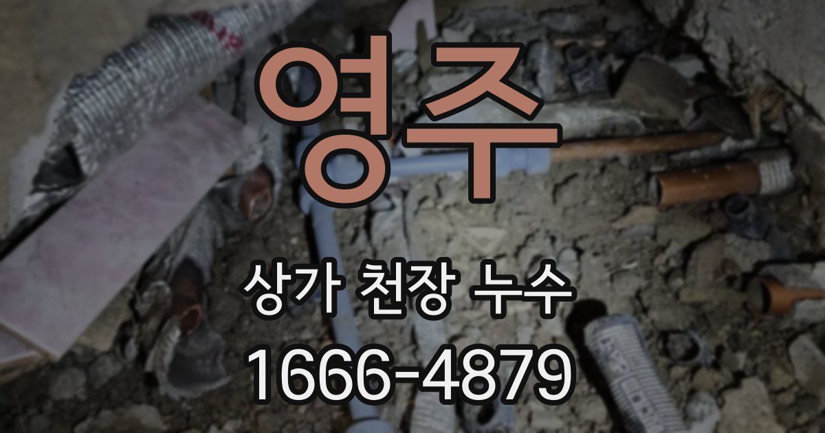 영주 상가 천장 누수