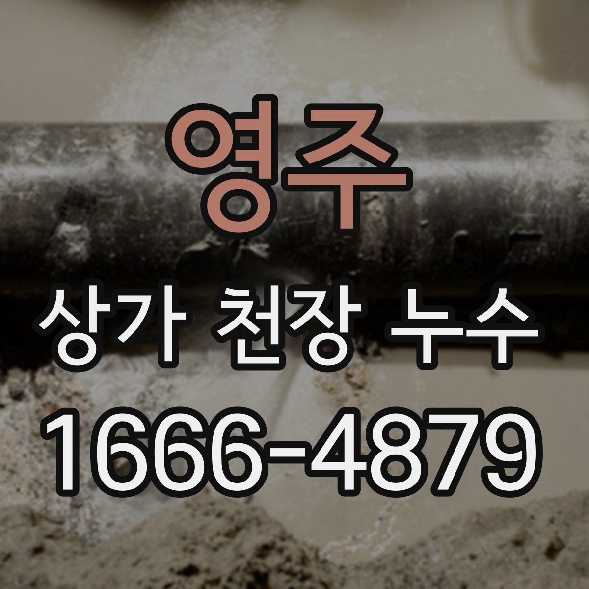 영주 상가 천장 누수