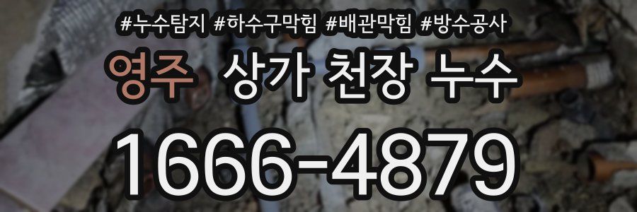 영주 상가 천장 누수
