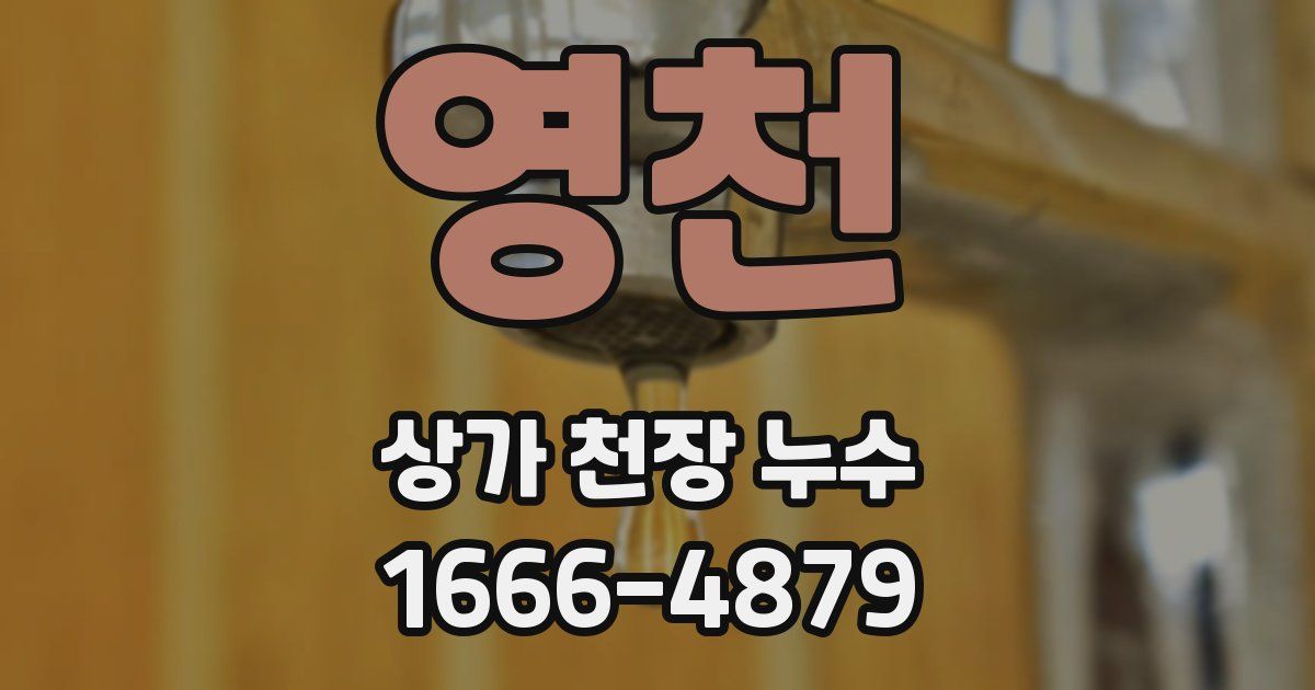 영천 상가 천장 누수