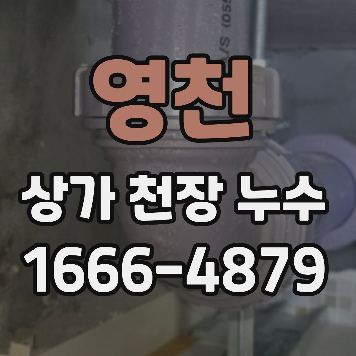 영천 상가 천장 누수