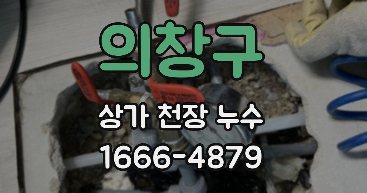 의창구 상가 천장 누수