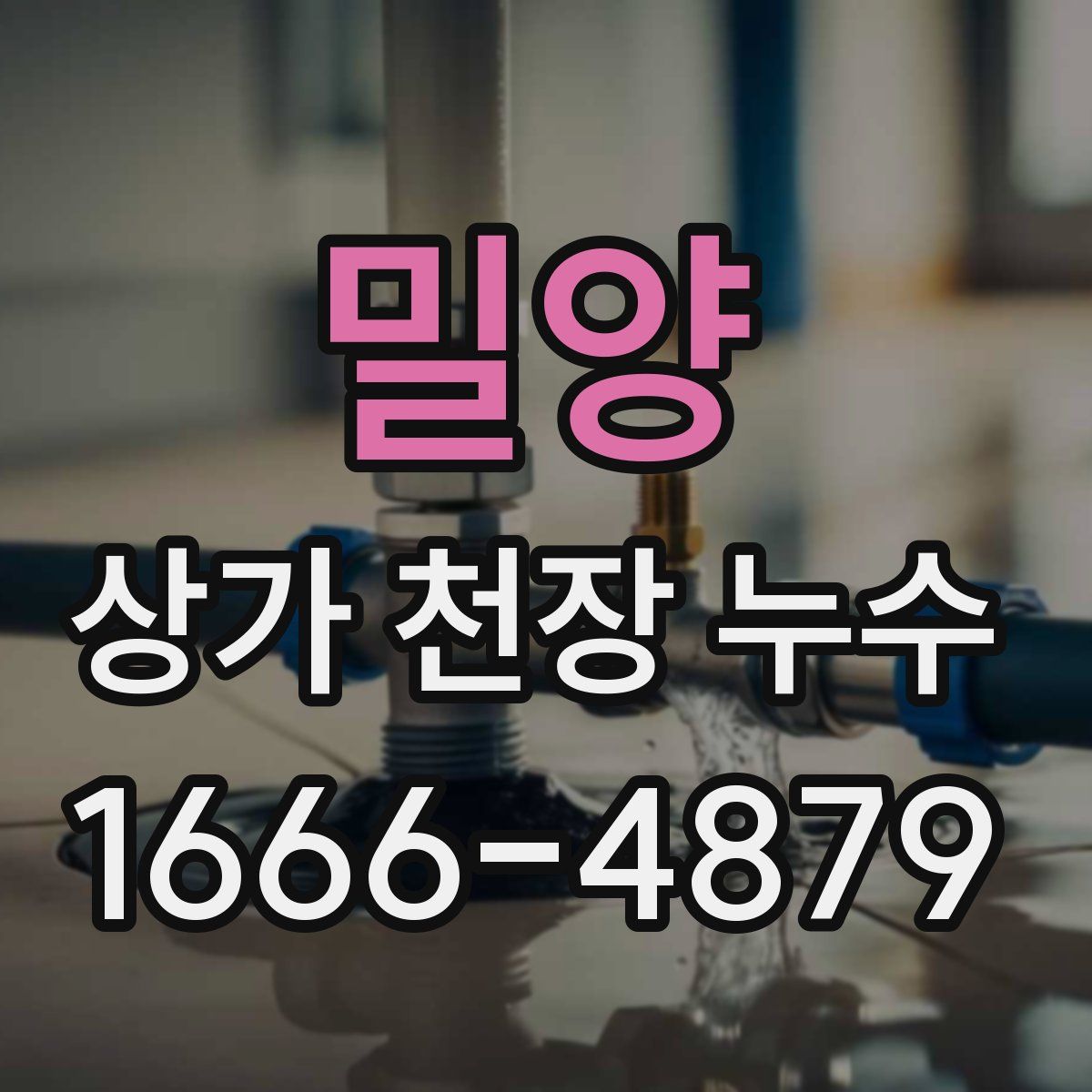 밀양 상가 천장 누수