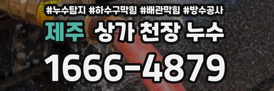 제주 상가 천장 누수