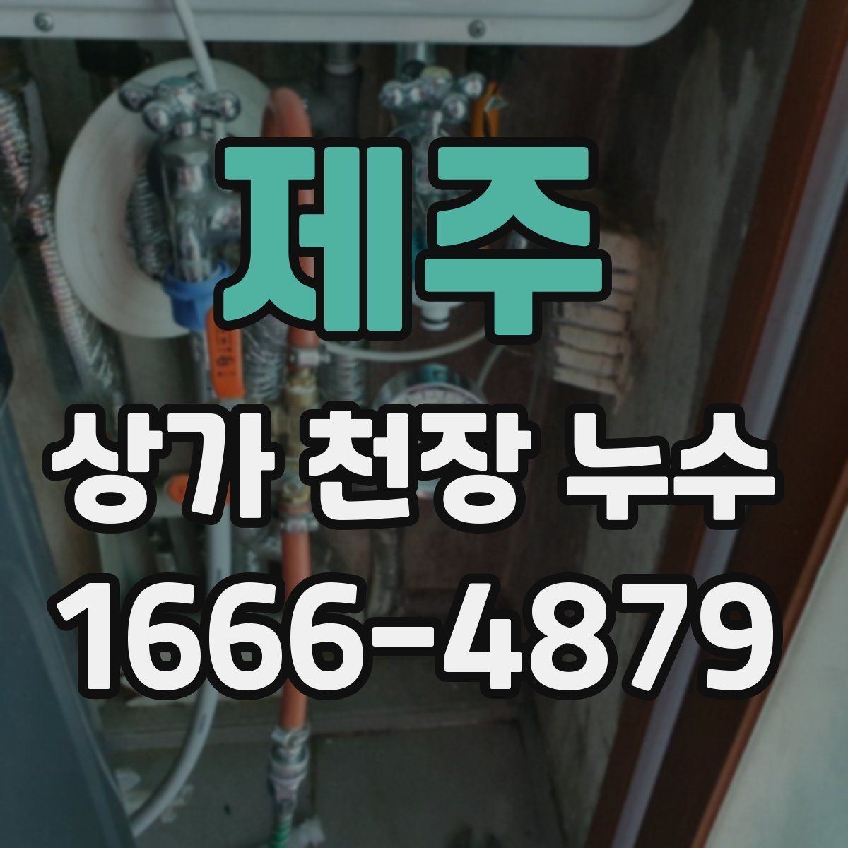 제주 상가 천장 누수
