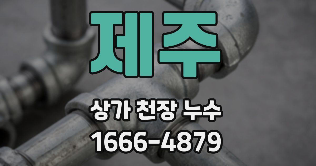 제주 상가 천장 누수