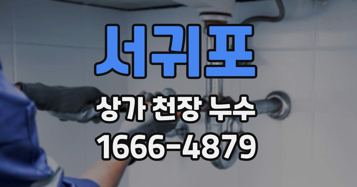 서귀포 상가 천장 누수