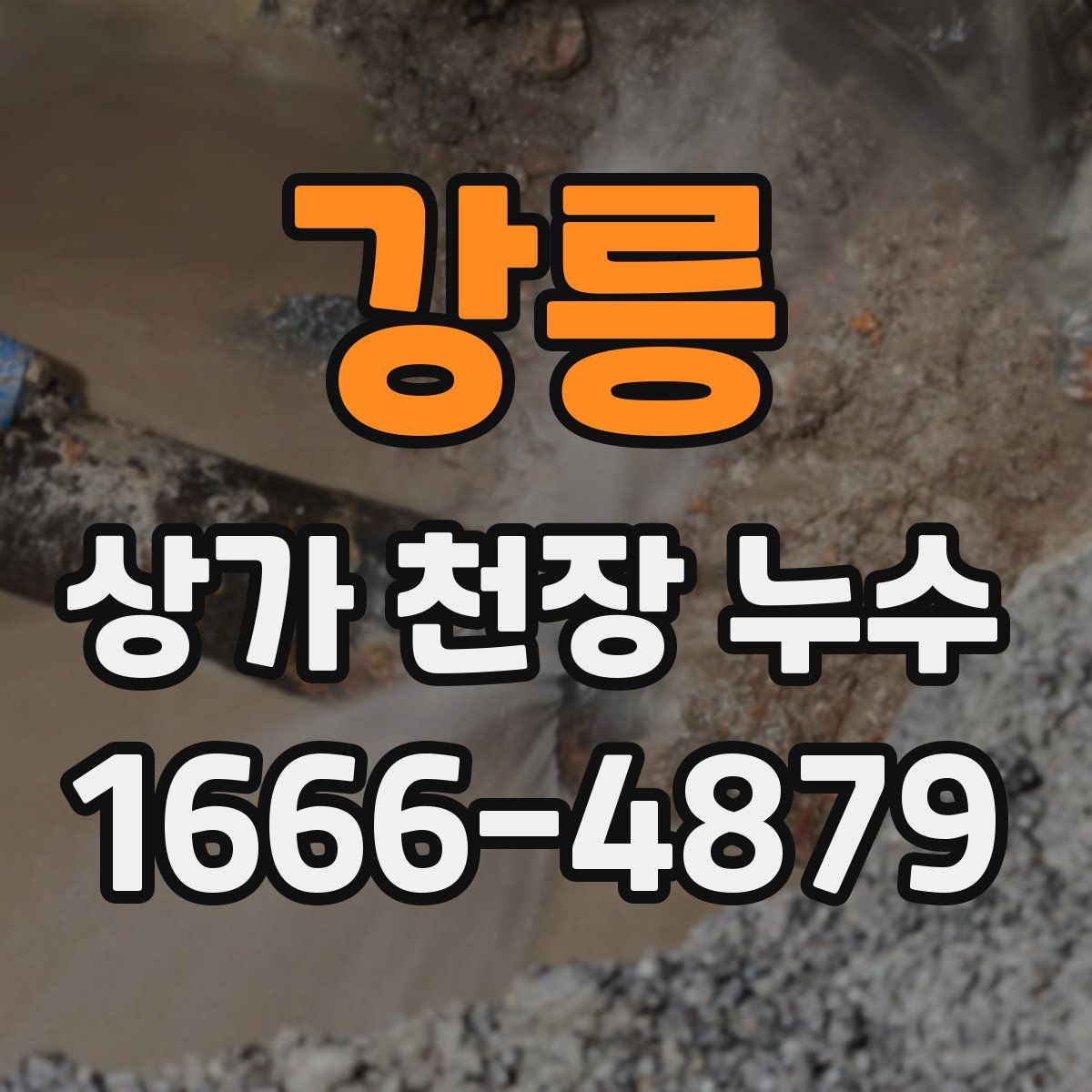 강릉 상가 천장 누수