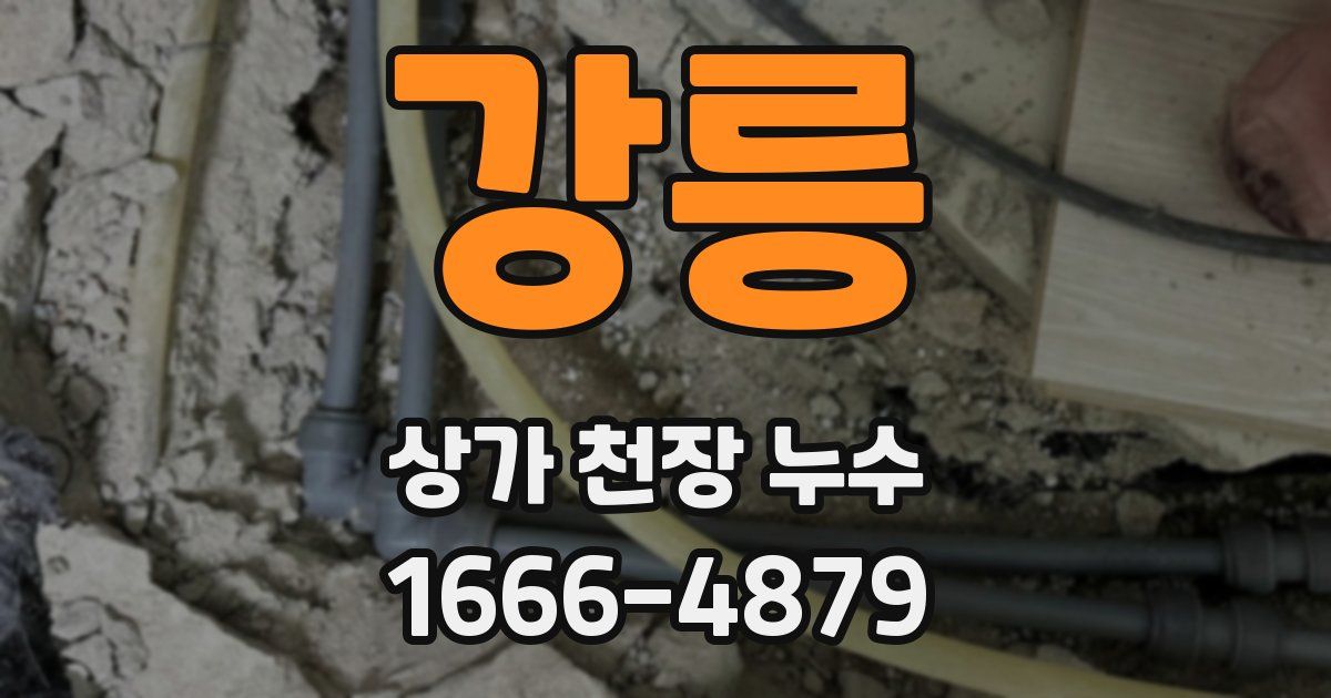 강릉 상가 천장 누수