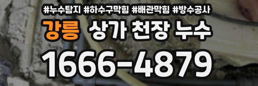 강릉 상가 천장 누수