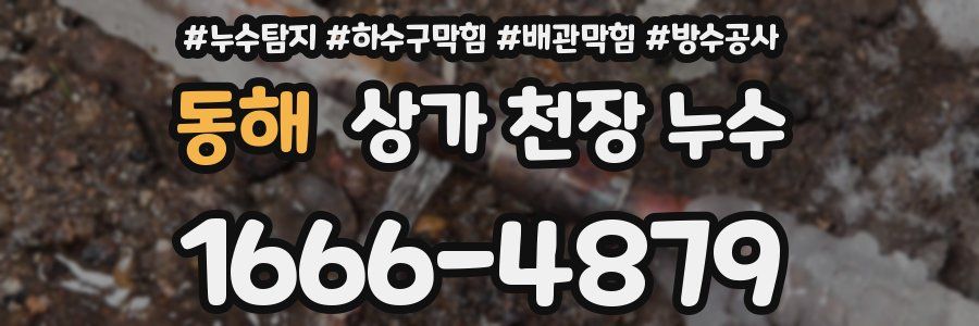 동해 상가 천장 누수