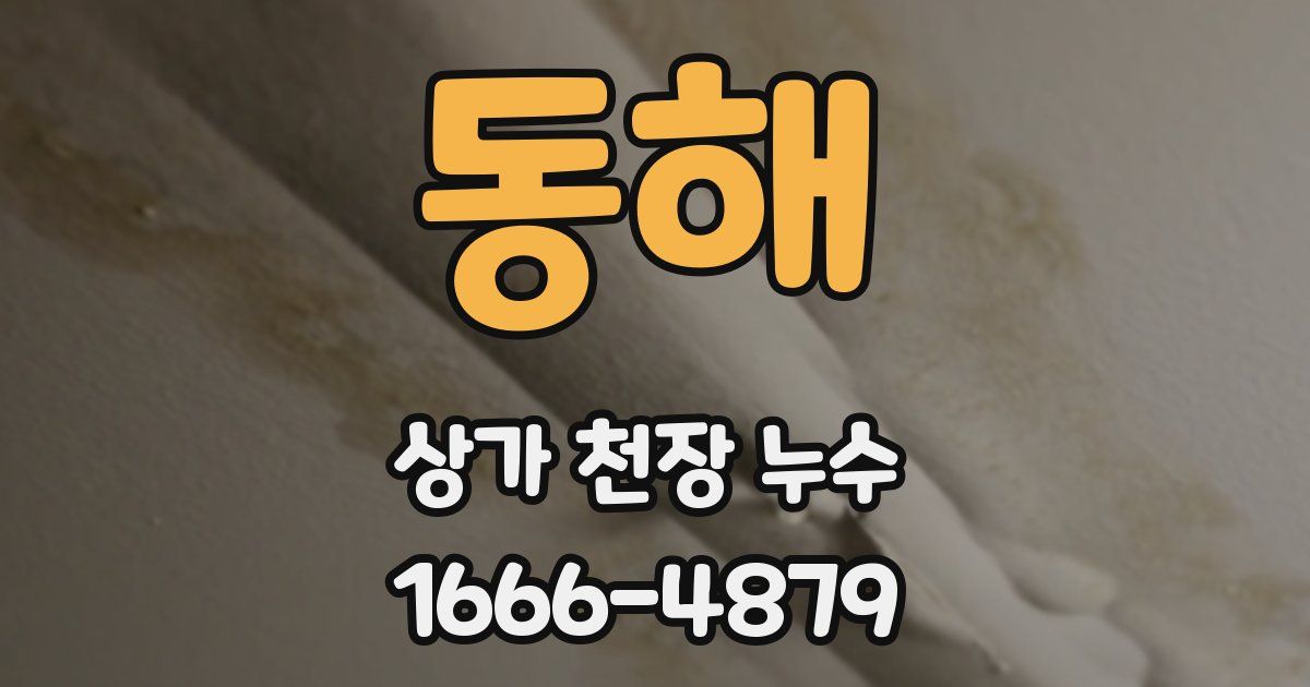 동해 상가 천장 누수