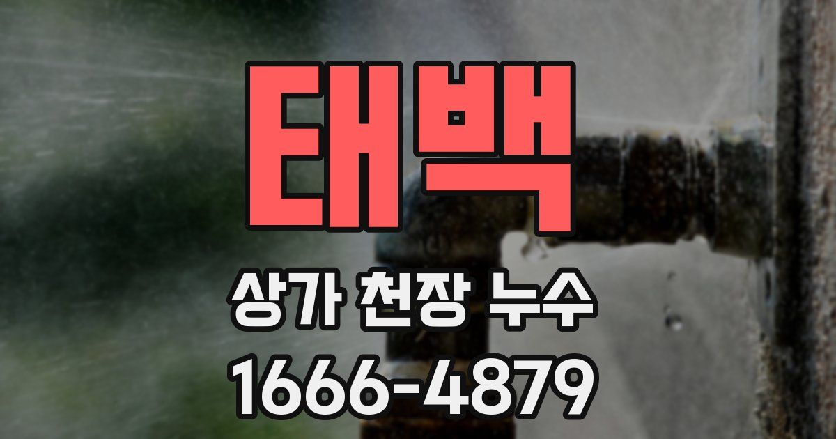 태백 상가 천장 누수