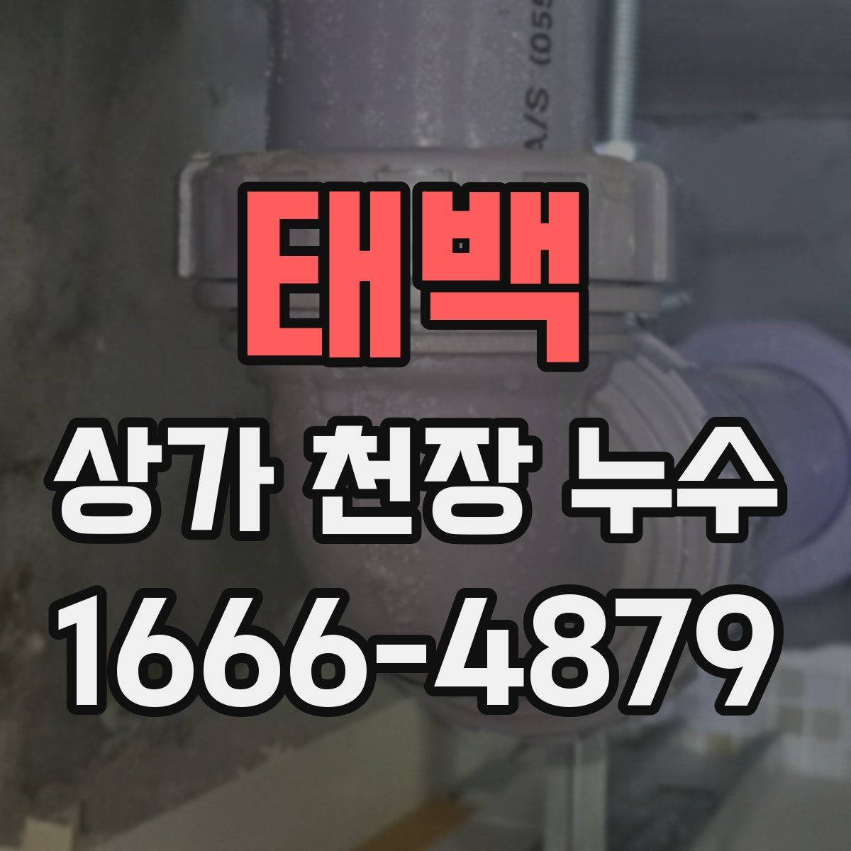 태백 상가 천장 누수