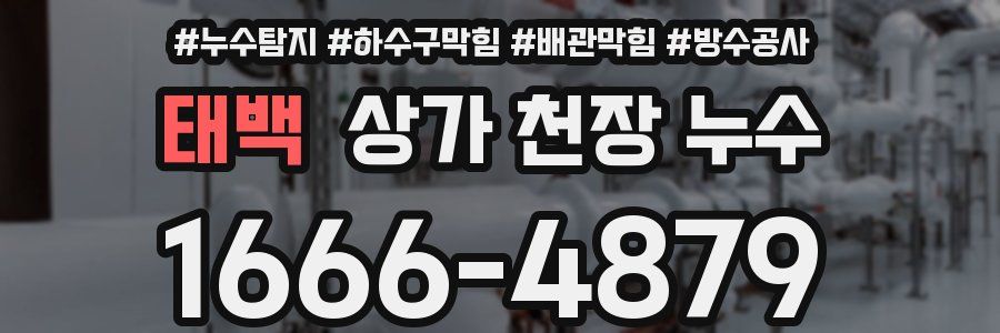 태백 상가 천장 누수