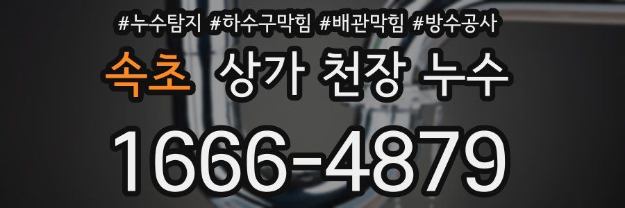 속초 상가 천장 누수