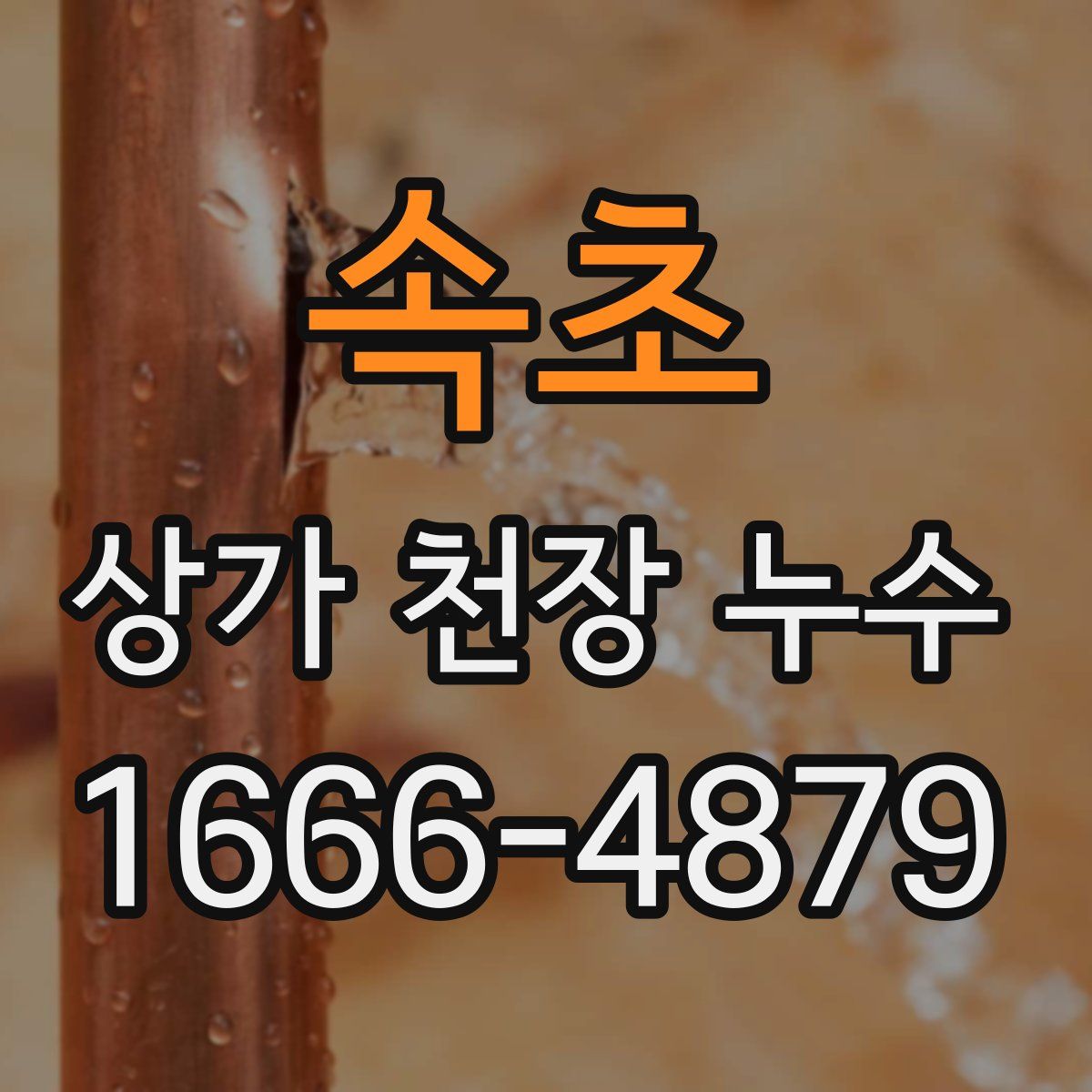 속초 상가 천장 누수