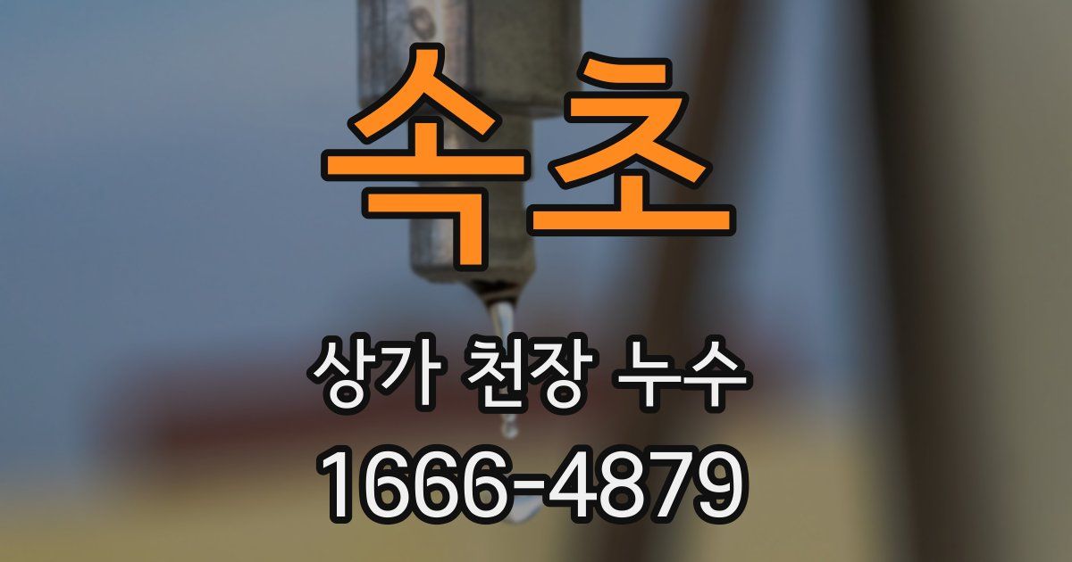속초 상가 천장 누수