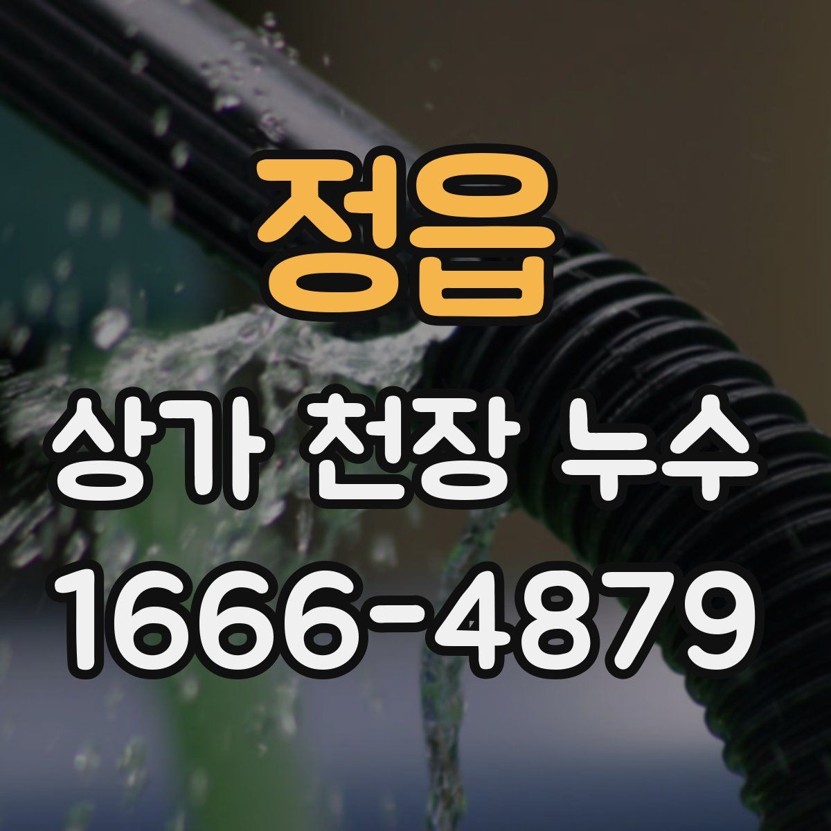 정읍 상가 천장 누수