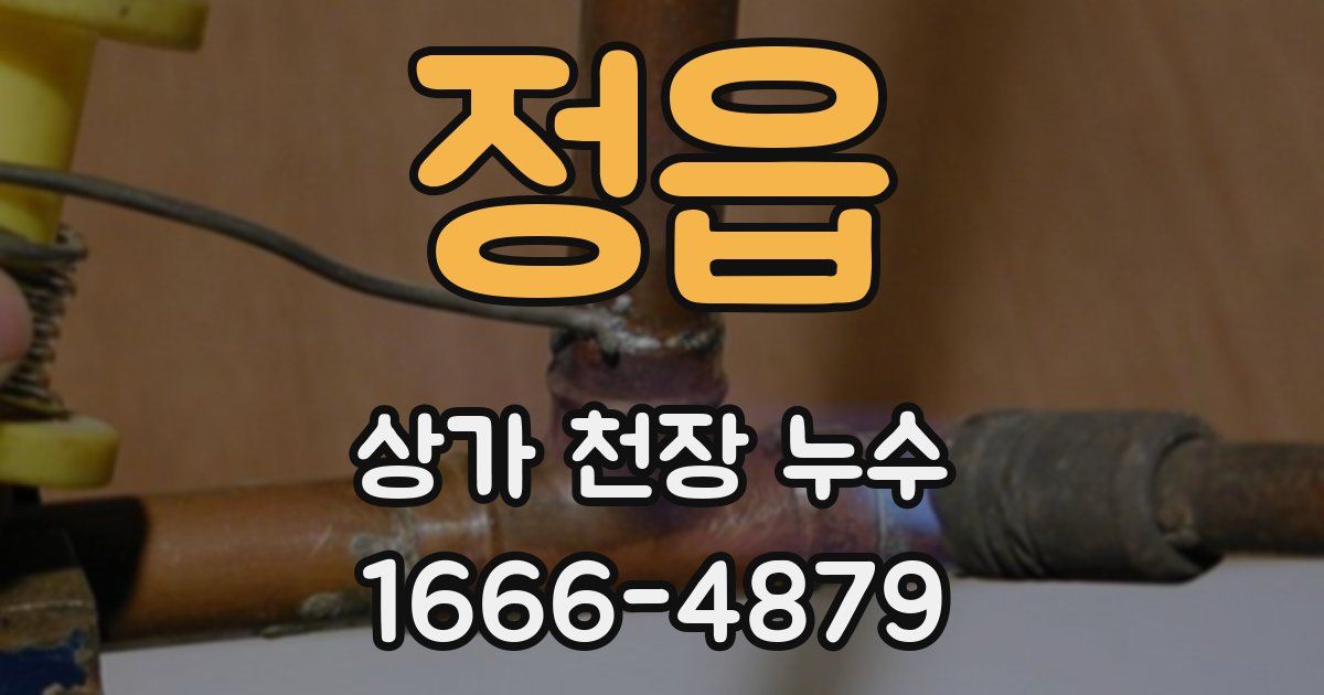 정읍 상가 천장 누수