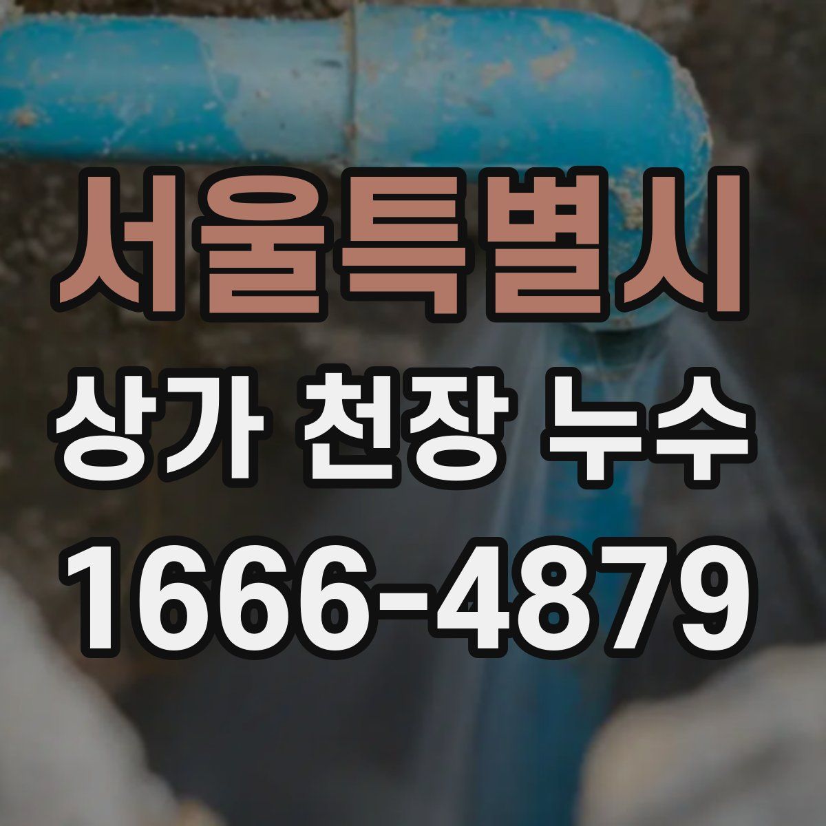 서울특별시 상가 천장 누수