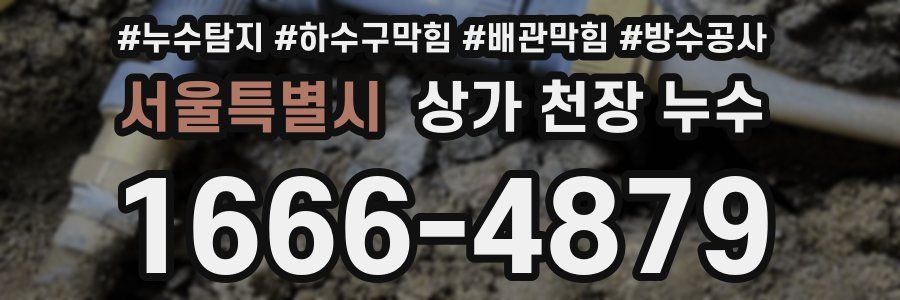 서울특별시 상가 천장 누수
