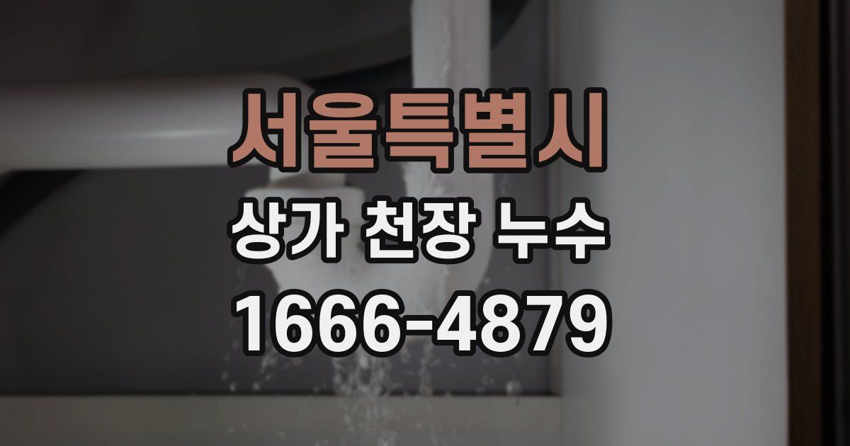 서울특별시 상가 천장 누수