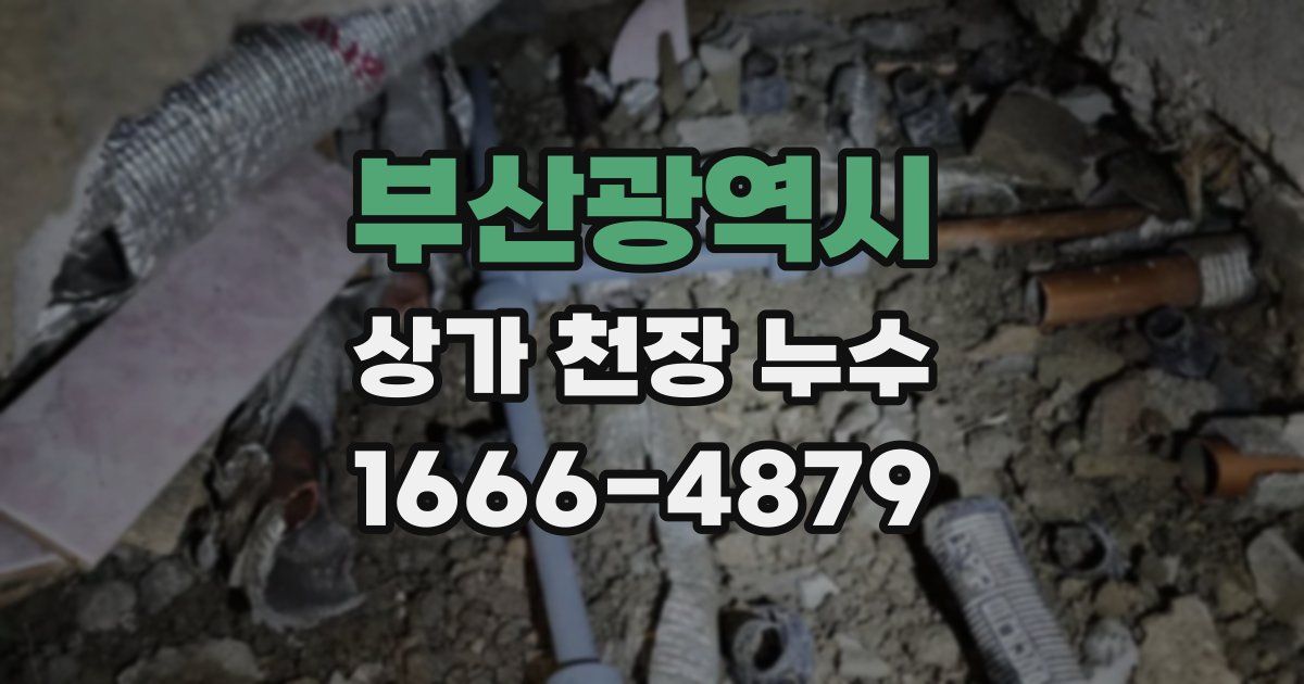 부산광역시 상가 천장 누수