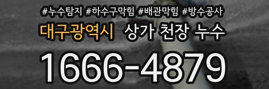 대구광역시 상가 천장 누수