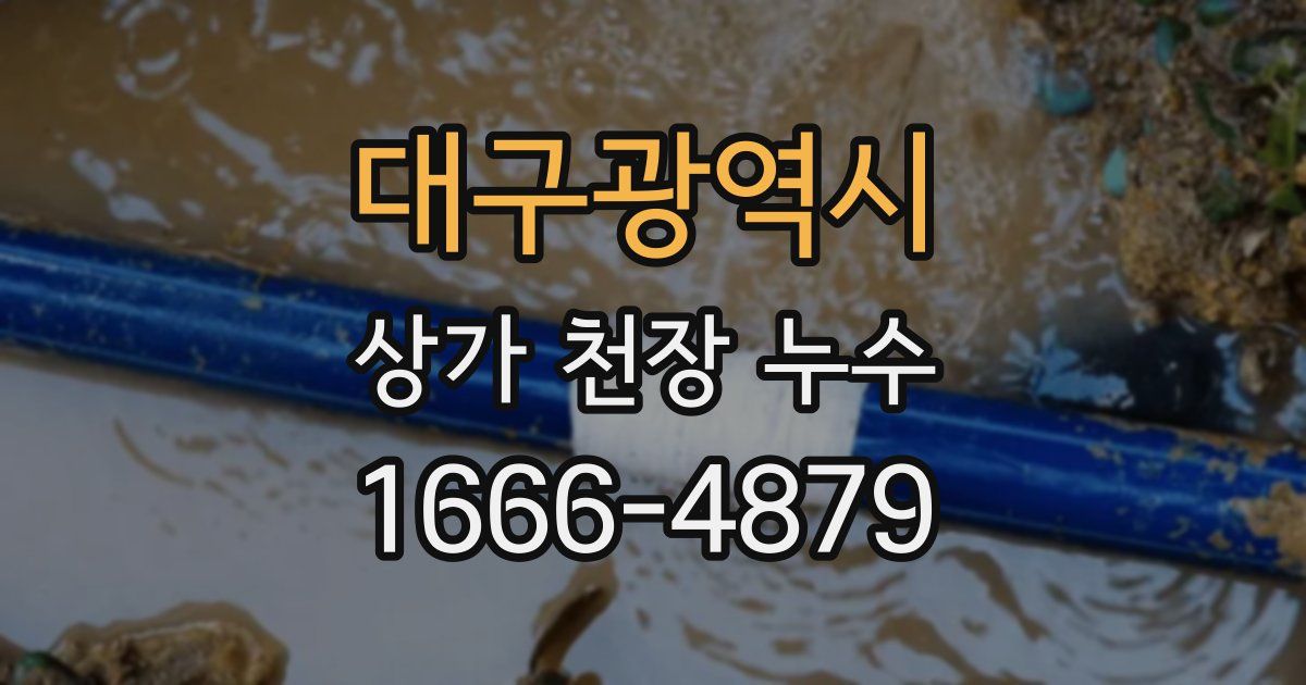 대구광역시 상가 천장 누수