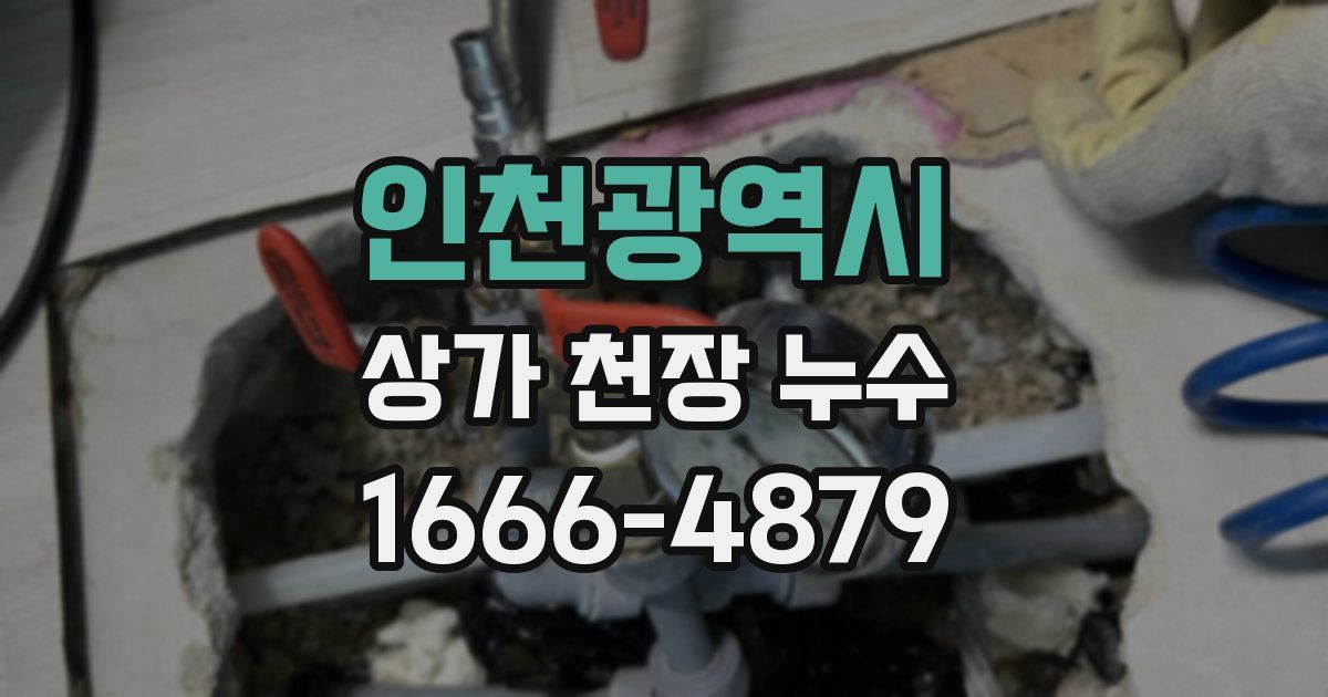 인천광역시 상가 천장 누수