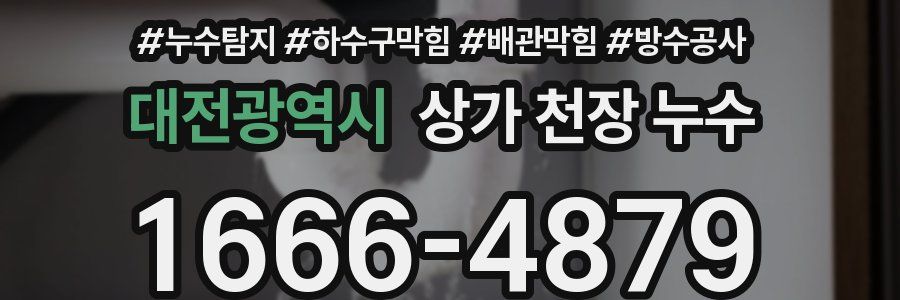 대전광역시 상가 천장 누수