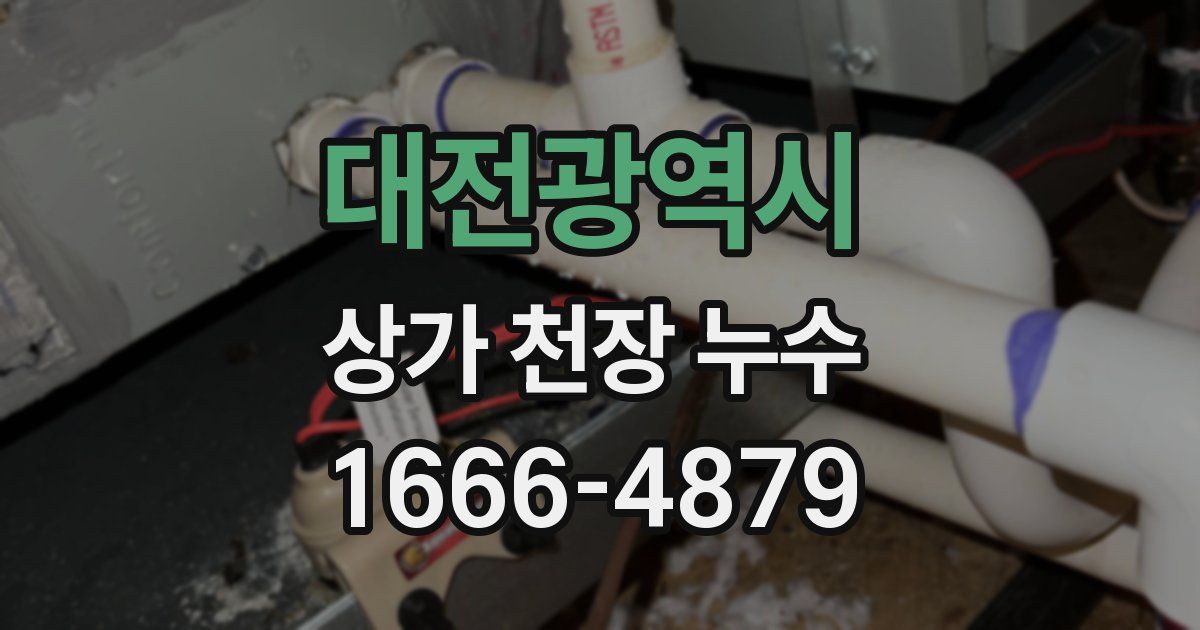 대전광역시 상가 천장 누수