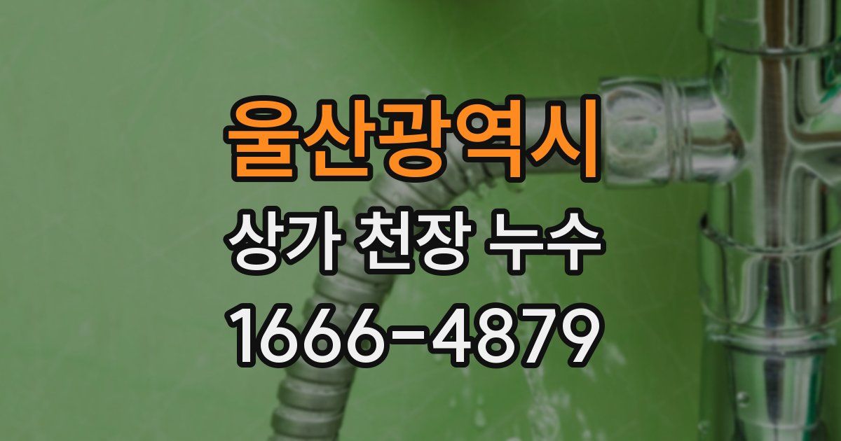 울산광역시 상가 천장 누수