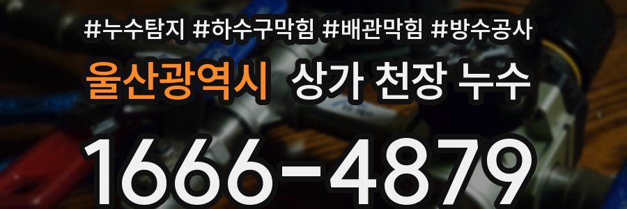 울산광역시 상가 천장 누수