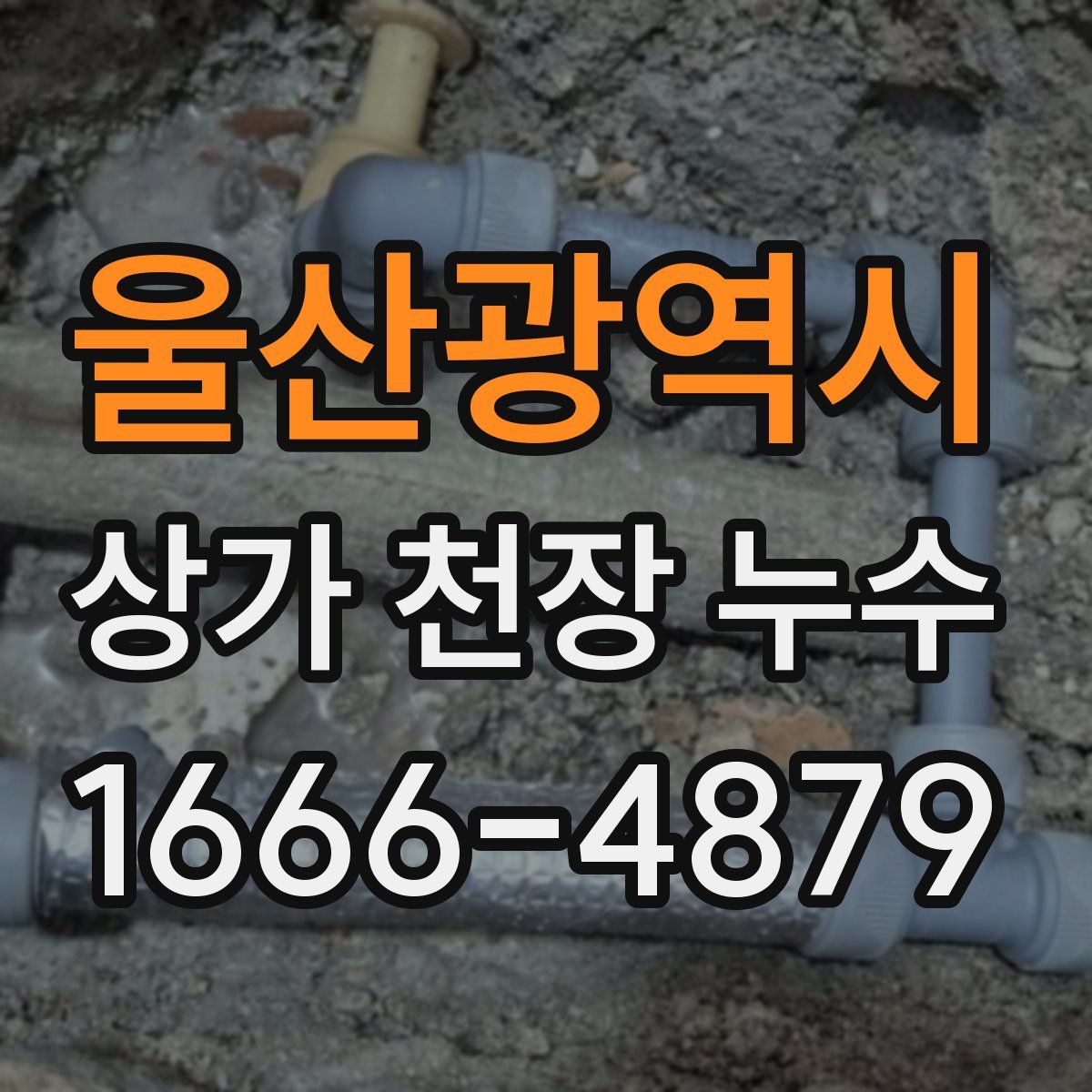 울산광역시 상가 천장 누수