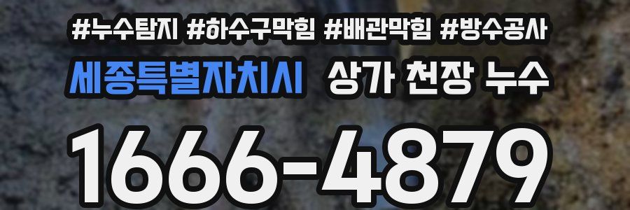 세종특별자치시 상가 천장 누수