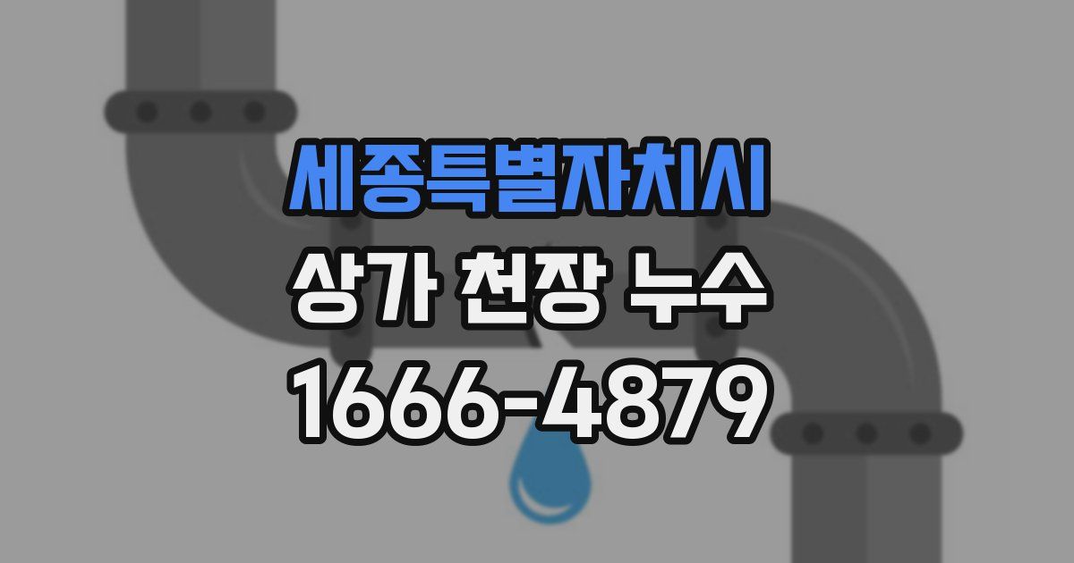 세종특별자치시 상가 천장 누수