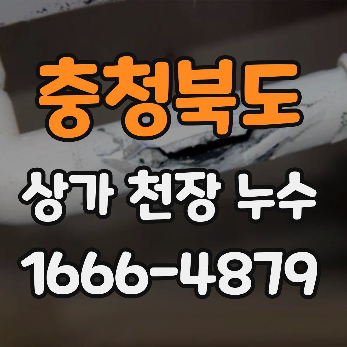 충청북도 상가 천장 누수