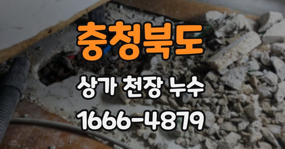 충청북도 상가 천장 누수