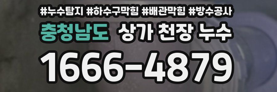 충청남도 상가 천장 누수
