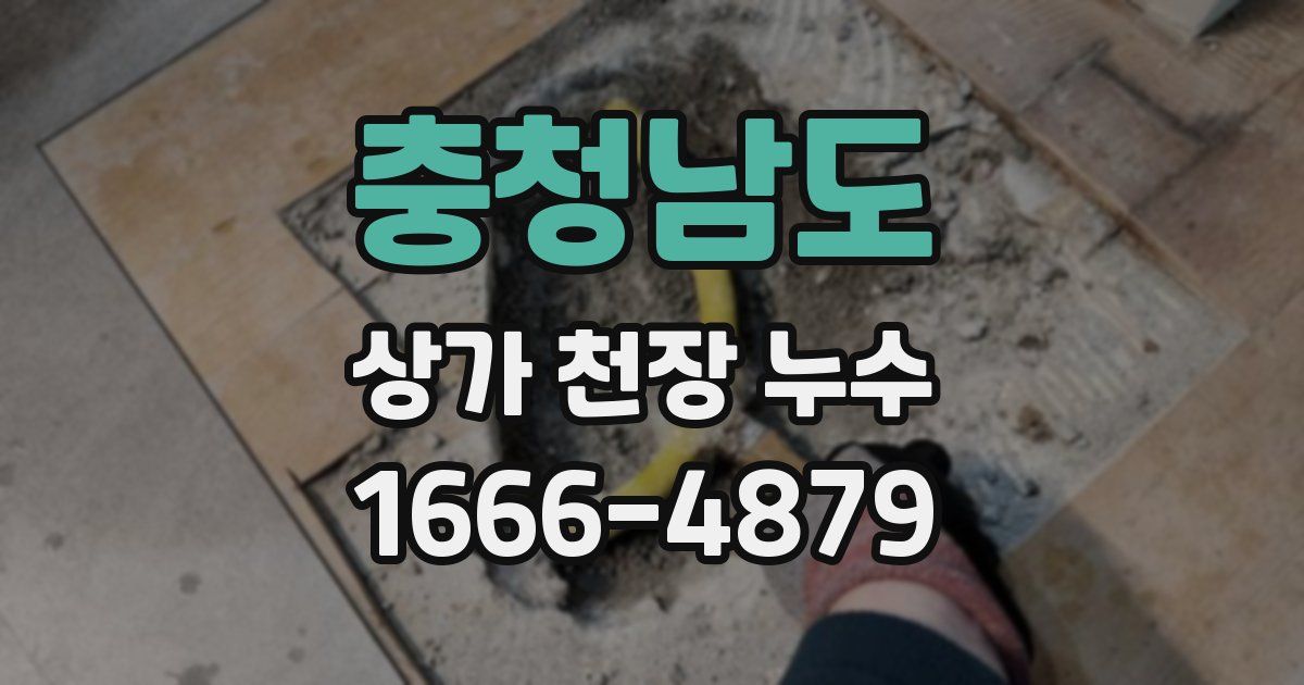 충청남도 상가 천장 누수