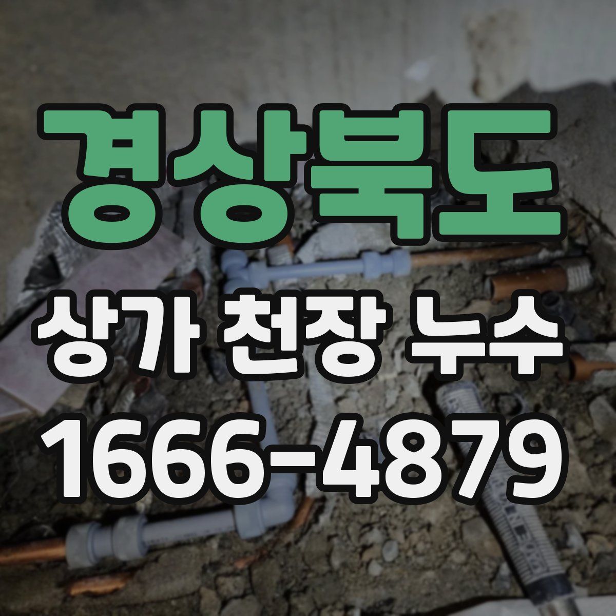 경상북도 상가 천장 누수