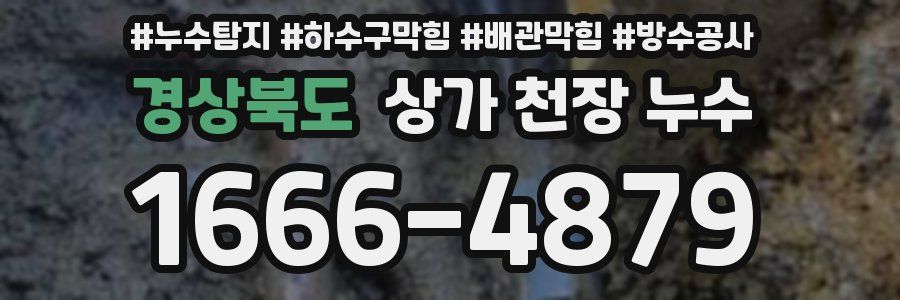 경상북도 상가 천장 누수