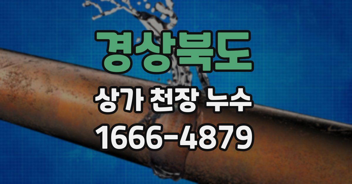 경상북도 상가 천장 누수