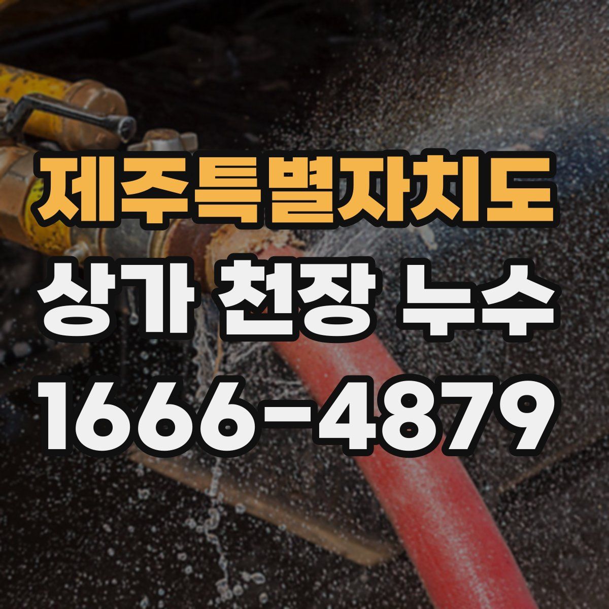 제주특별자치도 상가 천장 누수