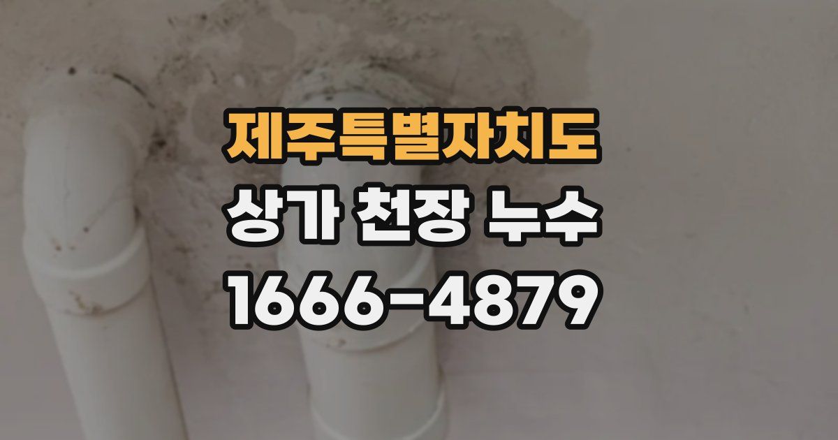 제주특별자치도 상가 천장 누수