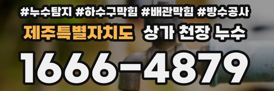 제주특별자치도 상가 천장 누수