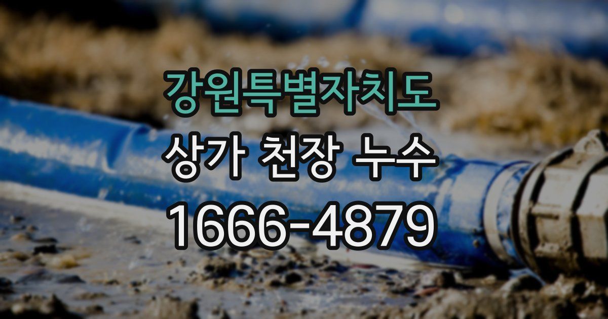 강원특별자치도 상가 천장 누수