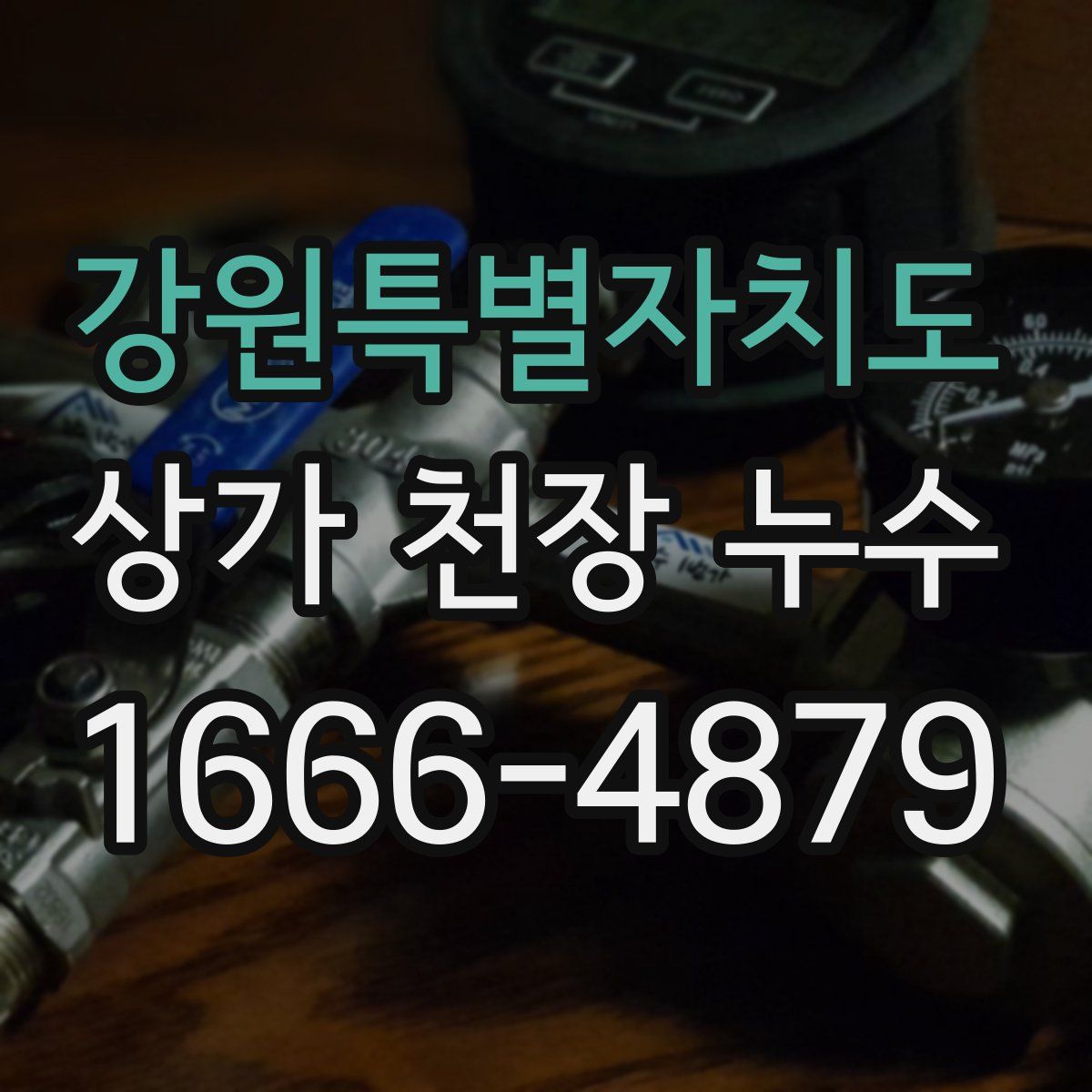 강원특별자치도 상가 천장 누수
